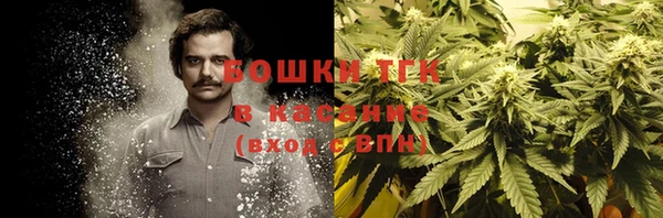 кокс Бородино